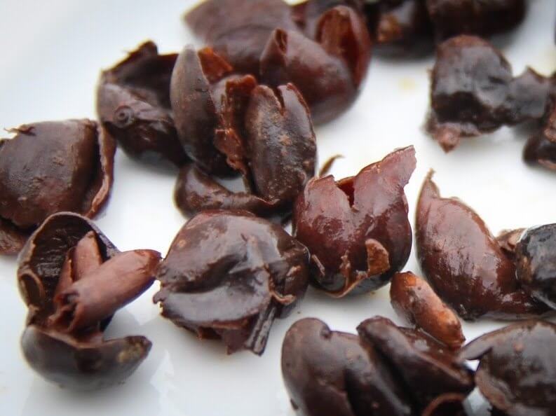 cascara
