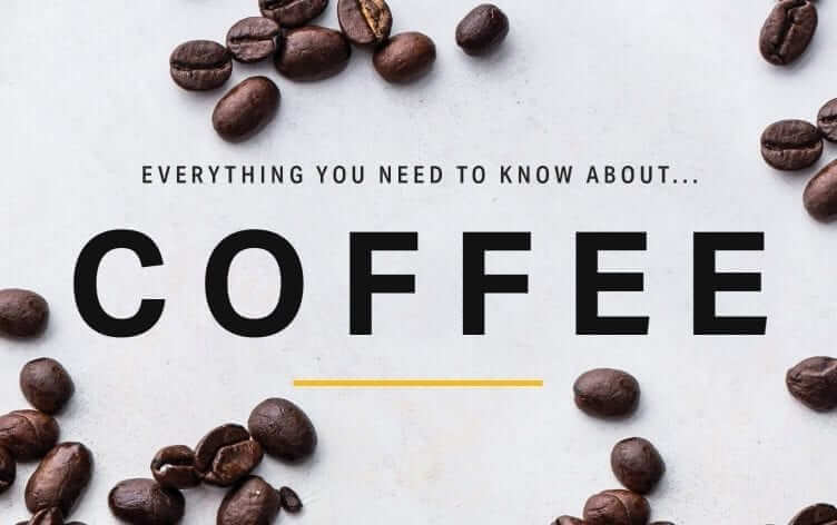 Everything you need to know about coffee B&Co