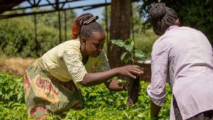 Fairtrade Climate-Academy-Fairtrade- work force balforth and co