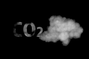 Carbon zero net zero company balmforth and co